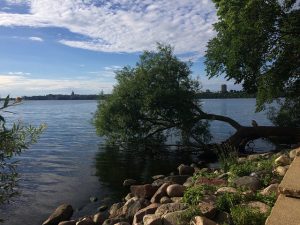 Picnic Point, Madison, view